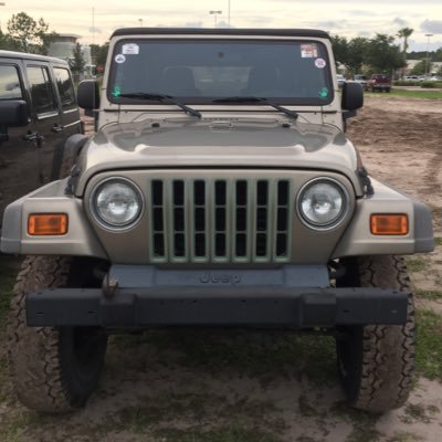 Jeep lover, redheaded crazy woman, geeky gamer, glass & clay artisan, devourer of books/music. 🙏🏻Lover of life. INFJ. #JeepMafia 🇺🇸