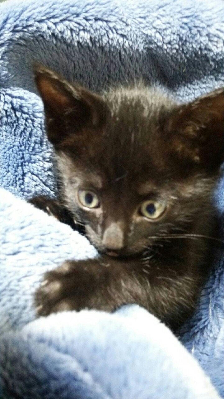 choo2_2's profile picture. 30代、夫+6歳の男の子👦、1歳の女の子👧のお母さん😊懸賞の応募が趣味です♪ 懸賞仲間さん募集中、相互フォロー希望します✨🙌😊懸賞垢さんは必ずフォロバします🌸 仲良くして下さると嬉しいです🌹