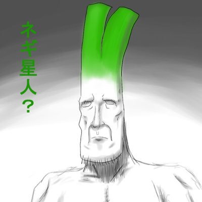 ネギ星人の父 Miyabi77 Twitter