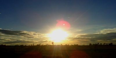 melody_modlife's profile picture. 