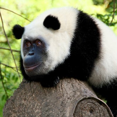 RVcnts's profile picture. Time to vent about everything going on in my life ((((((: probably won't accept the follow request tho... my girlfriend makes me happy ☺️