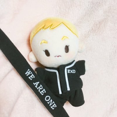 MingMing_326's profile picture. 15cm 작고 귀여운 밍밍이