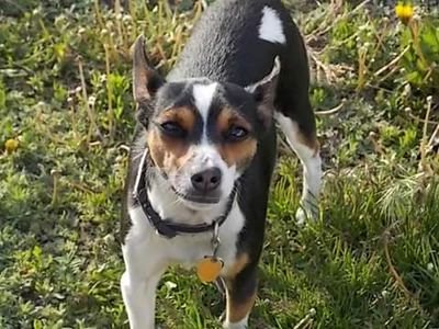 RixtwBaylee's profile picture. Ok its my first time yay