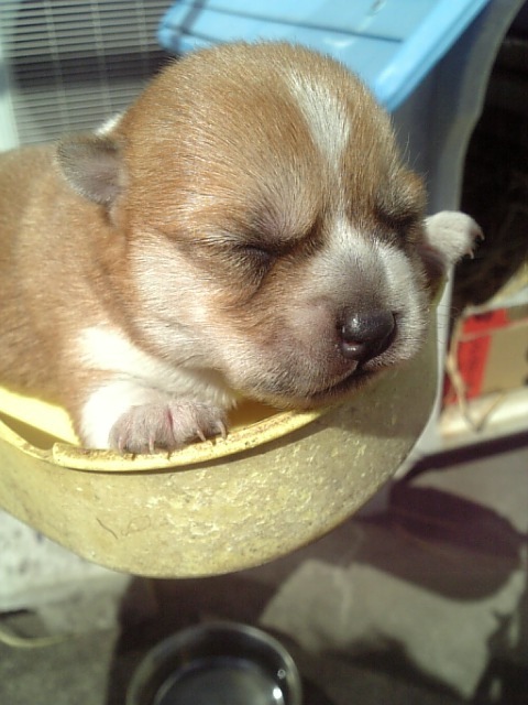 kyonzo777's profile picture. 