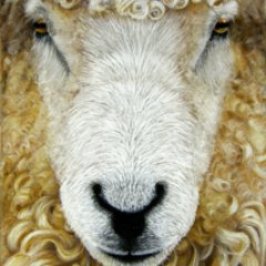 Longwool Profile