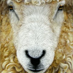 Longwool Profile Picture