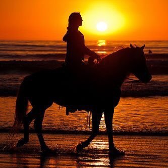 I may not be special but I'm a sweet girl And love silence of nature 😇