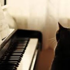 Sound_Of_Keyss's profile picture. 