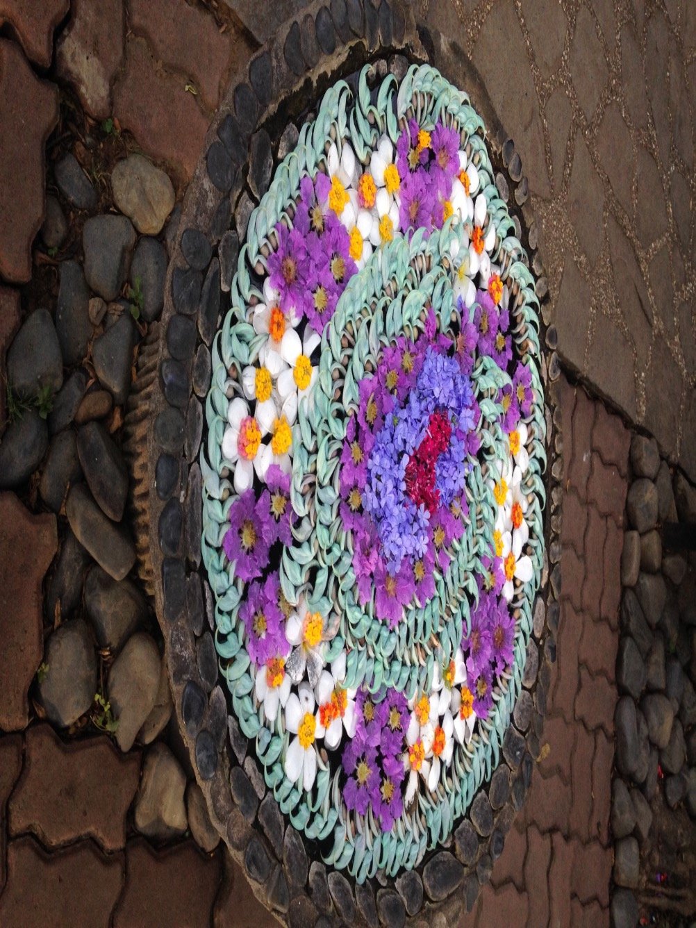 Frncnrdr's profile picture. I hate you