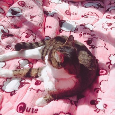 露さんのプロフィール画像