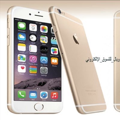 Rifai58562206's profile picture. 