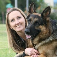 WC German Shepherds (@wcgsdogs) 's Twitter Profile