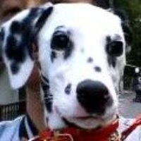 takaMD🏎️🔧🐾 (@takamd) 's Twitter Profile