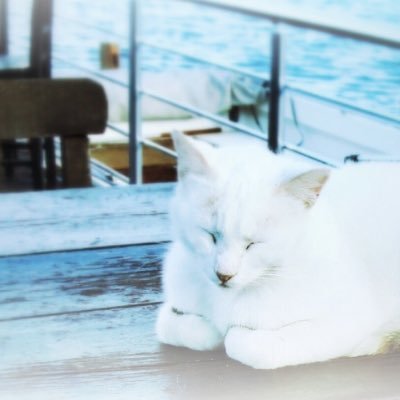 VgKphp's profile picture. 