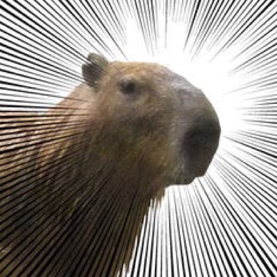 むみさんのプロフィール画像