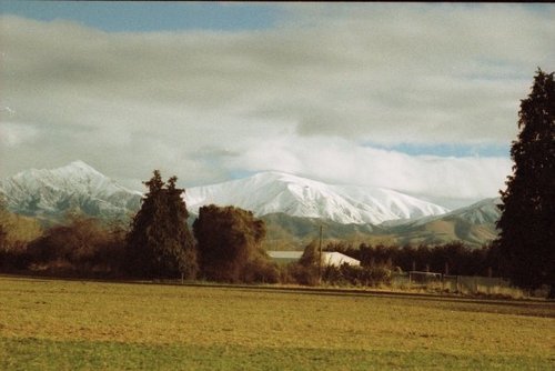 C_Garlick's profile picture. 