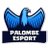 Palombe_eSport's profile image