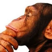 Pense Livre (@pense_livre) 's Twitter Profile Photo Pense Livre (@pense_livre) 's Twitter Profile Photo
