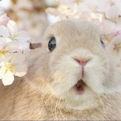 C_yuri1400's profile picture. 하하하