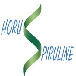 Producteur de Spiruline Independant (#spirulinier) France https://t.co/kXfln7pIT9 #SPIRULINE #ABBARETZ #NANTES #BRETAGNE #PaysDeLaLoire #emojiBZH
