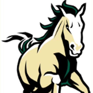 cisci_cp's profile picture. 