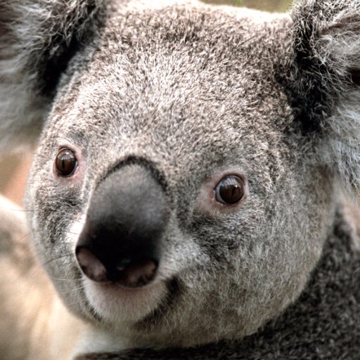 WaveStrain's profile picture. 