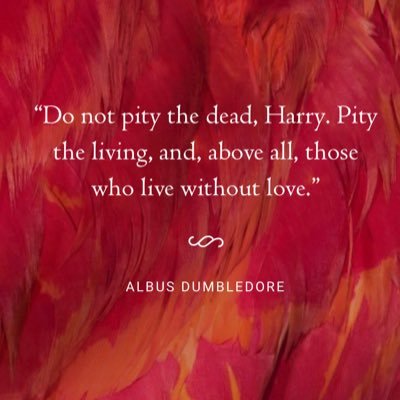 heatherwillmot2's profile picture. 