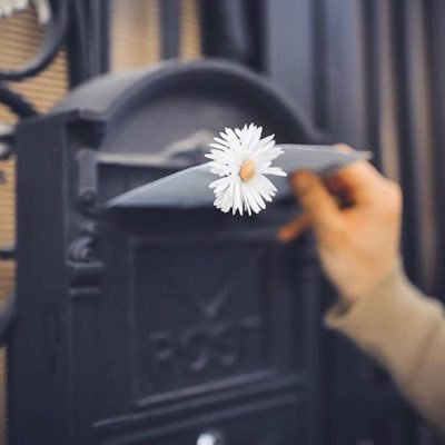 PeWdYkMc0cjTNbH's profile picture. 