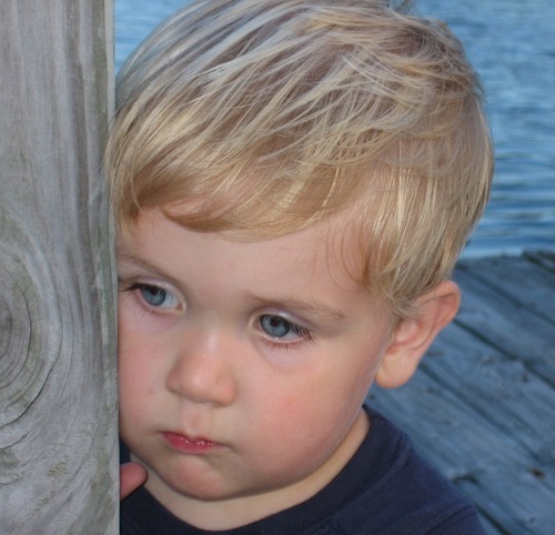 ncamber's profile picture. 