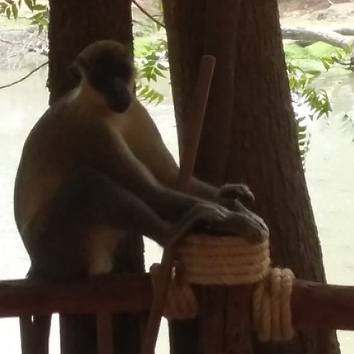 SowBoubacar17's profile picture. 