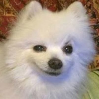 unaimugica2's profile picture. Only death can save us from our eternal suffering