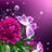 blevina's avatar