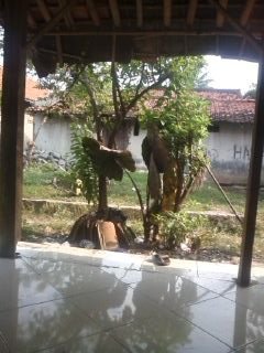 NcunkZee's profile picture. janganlah melihat qu hanya dari satu sisi saja,karna itu tak menggmbarkan seutuhnya diriku