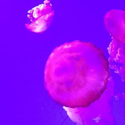 mfarleyvachon's profile picture. 