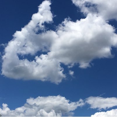 mmrose5353's profile picture. 心に華をஐ 2017年5月に脾臓摘出 脾原発悪性リンパ腫 びまん性… ステージI ブログhttps://t.co/BWmSqMf8aN 病垢 #悪性リンパ腫