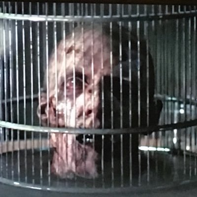 cageofgeoff's profile picture. My name is Geoff. I'm just a head in a cage.