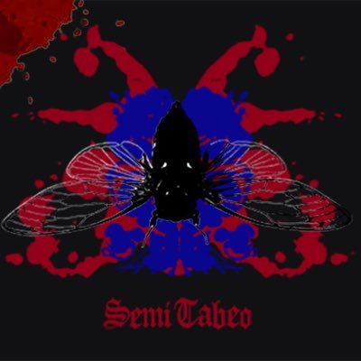 airwar092's profile picture. 豆腐のような毎日さ