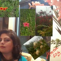 Amna R. Ali(@Amna_R_Ali) 's Twitter Profile Photo