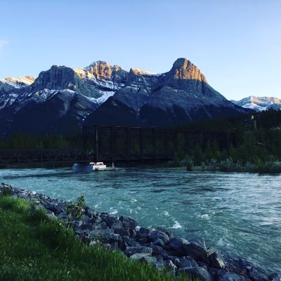 MartinDBean's profile picture. 