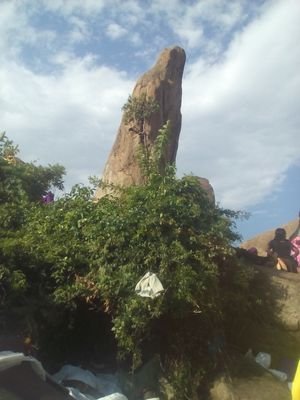 Richard99687497's profile picture. News