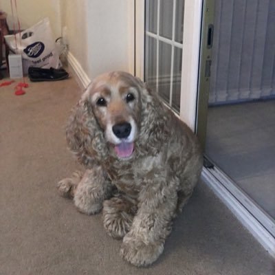 Profile Picture of Ruby (@Ruby_Walton375) on Twitter