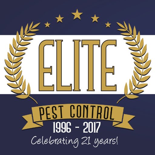 elite pest control elite pest control