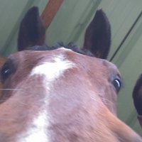 Romain Berthon (@romaintrm) 's Twitter Profile