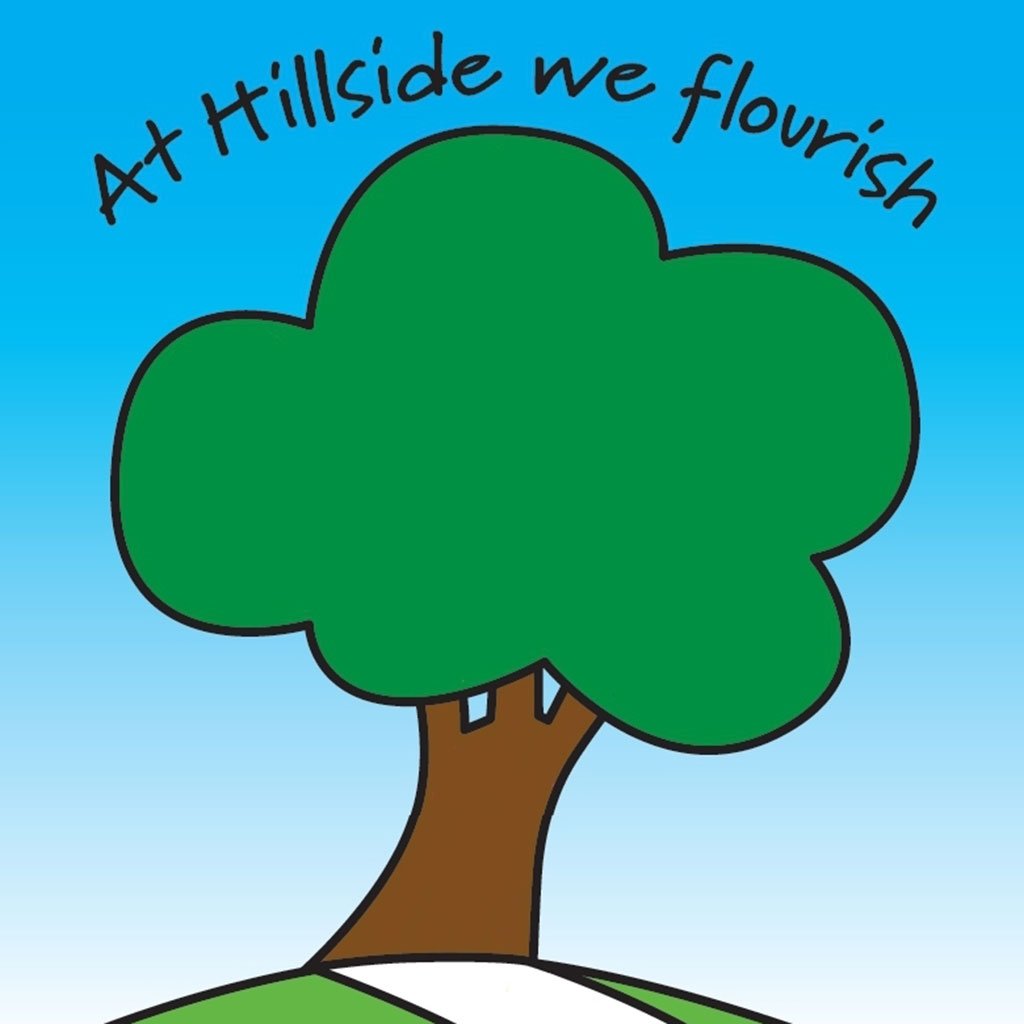 At Hillside we aim for everyone to grow to be the best they can be, and to flourish.
