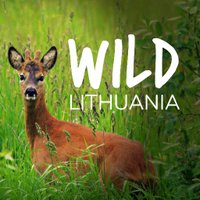 Wild Lithuania(@WildLithuania) 's Twitter Profile Photo