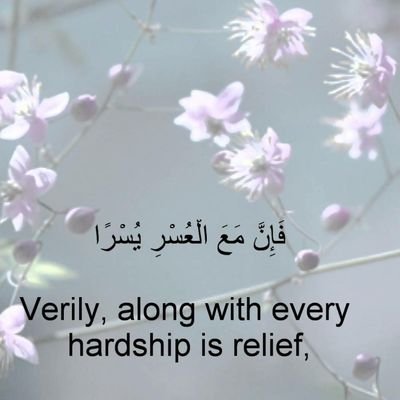 tilloi's profile picture. 