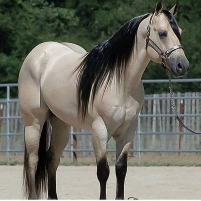 2008ivangG's profile picture. 