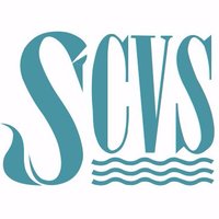 SwanseaCVS(@SwanseaCVS) 's Twitter Profile Photo