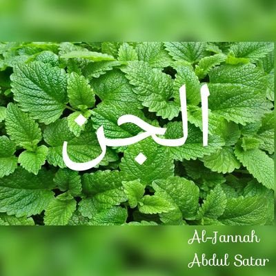 Hafez
