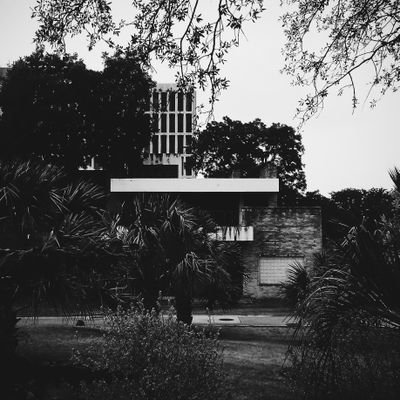 TheMsSnowfire's profile picture. 